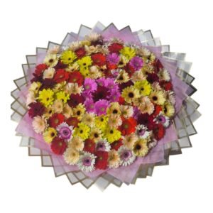 ramo buchon gigante de 100 gerberas multicolor de exportacion en empaque rosa y dorado cali