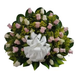 Abanico fúnebre con 50 rosas de colores rosadas y blancas con aster cali