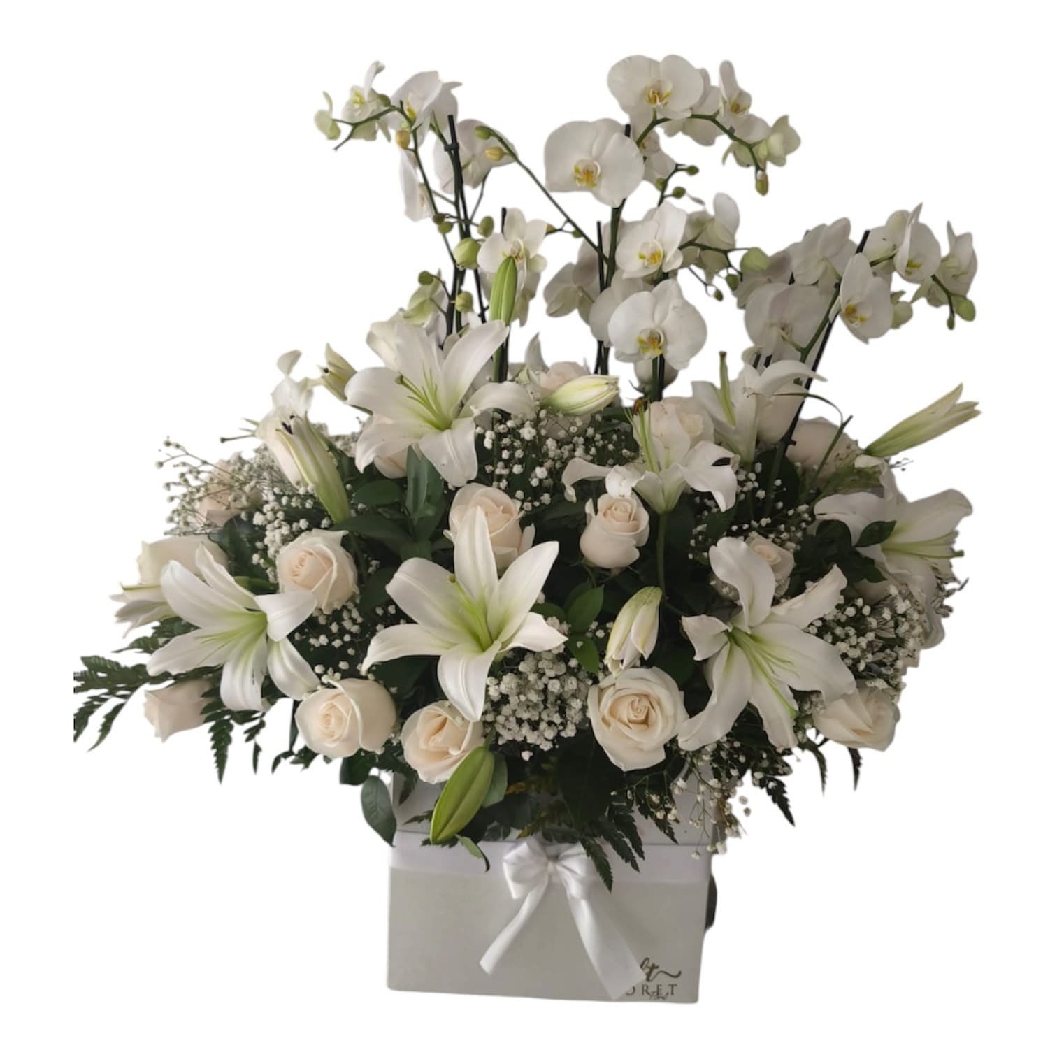 Caja fúnebre premium con 4 orquídeas 36 rosas blancas y 6 lirios cali