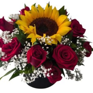 Caja Girasol Rosas Cali