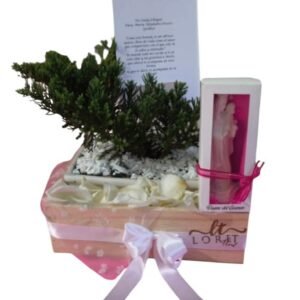 Kit de condolencias en caja de madera con bonsái natural y vela de la virgen cali